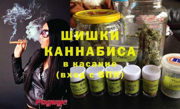 Альфа ПВП Аркадак