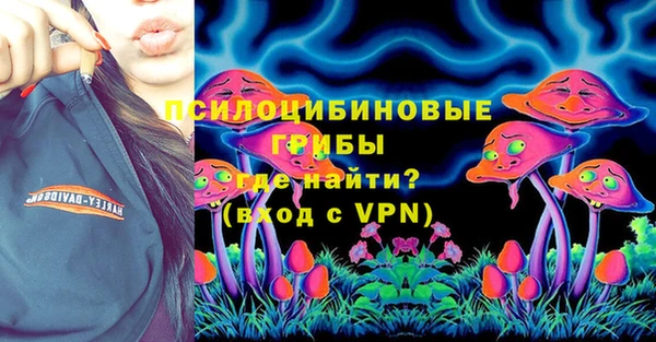 Альфа ПВП Аркадак