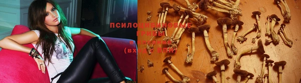 Альфа ПВП Аркадак