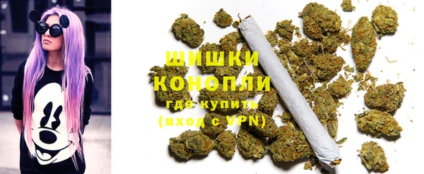 Альфа ПВП Аркадак