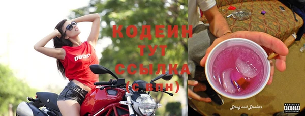 спиды Арсеньев