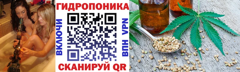 Бошки марихуана план  как найти закладки  Приморско-Ахтарск 